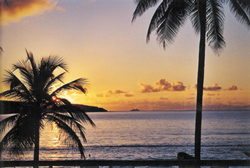 Beautiful Sunrise Views from All of our Condos